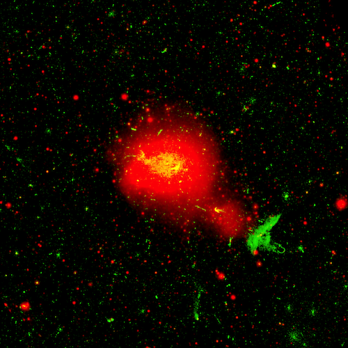 teaser Композитное изображение скопления галактик Кома в рентгеновском (красный цвет, СРГ/eROSITA и радио- (LOFAR) диапазонах