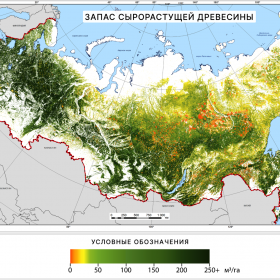 Запас сырорастущей древесины на территории России, 2021 г. Данные ИАС «Углерод-Э»