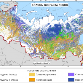 Классы возраста лесов на территории России, 2021 г. Данные ИАС «Углерод-Э»