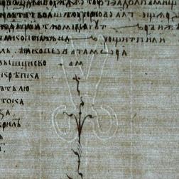 Пример филиграни на листе рукописи из собрания ГИМ. Изображения сделаны Е. В. Ухановой (ГИМ) с помощью прибора Slimlight в видимом свете