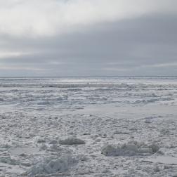  Май 2024 года. Специальные ледовые наблюдения в Арктике. Фотография В. В. Тихонова 