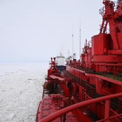 Май 2024 года. Специальные ледовые наблюдения в Арктике. Фотография В. В. Тихонова 