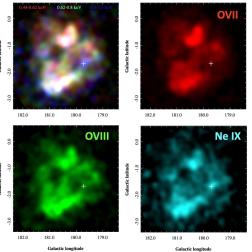Рентгеновские изображения остатка вспышки сверхновой Спагетти (S147) в линиях излучения отдельных высокоионизованных атомов и композитное изображение. Рисунок из статьи Khabibullin I. I. et al,  A&A 689, A278, (2024)
