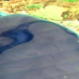 Проявление нефтяного пятна на оптическом изображении MODIS Aqua от 1 сентября 2025 г. 11:38 GMT