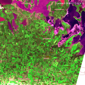 Вегетация озимых культур в Республике Крым на снимке спутника Landsat 8 (прибор OLI), полученный 2026-02-10 08:31:51 (RGB-синтез «Поверхность» ). Изображение получено с помощью информационной системы «ВЕГА-Science» (ИКИ РАН)