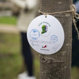 Акция «Сад памяти» в Гольяново 17 апреля 2026 г. Фотография: оргкомитет Международной акции «Сад памяти»