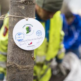 Акция «Сад памяти» в Гольяново 17 апреля 2026 г. Фотография: оргкомитет Международной акции «Сад памяти»