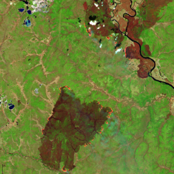 Природные пожары в Амурской области, 15.05.2026, по данным спутника Sentinel-2B (ESA). Изображение получено с помощью информационной системы «ВЕГА-Science» (ИКИ РАН)