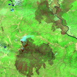 Природные пожары в Амурской области, 19.05.2026, по данным спутника Landsat-9 (USGS). Изображение получено с помощью информационной системы «ВЕГА-Science» (ИКИ РАН)