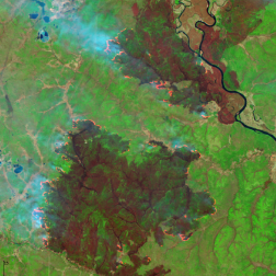 Природные пожары в Амурской области, 20.05.2026, по данным спутника Sentinel-2B (ESA). Изображение получено с помощью информационной системы «ВЕГА-Science» (ИКИ РАН)