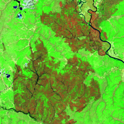Природные пожары в Амурской области, 27.05.2026, по данным спутника Landsat-8. Изображение получено с помощью информационной системы «ВЕГА-Science» (ИКИ РАН)
