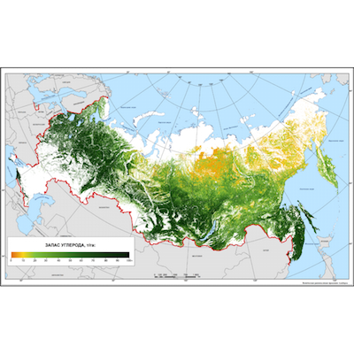 teaser КНО: Запасы углерода в фитомассе лесов России на 2019 г.