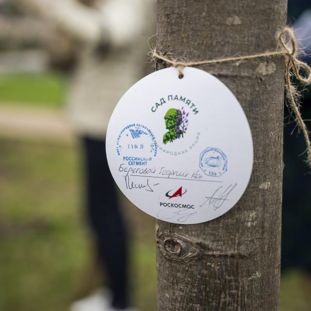 teaser Акция «Сад памяти» в Гольяново 17 апреля 2026 г. Фотография: оргкомитет Международной акции «Сад памяти»