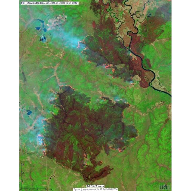 teaser Природные пожары в Амурской области, 20.05.2026, по данным спутника Sentinel-2B (ESA). Изображение получено с помощью информационной системы «ВЕГА-Science» (ИКИ РАН)