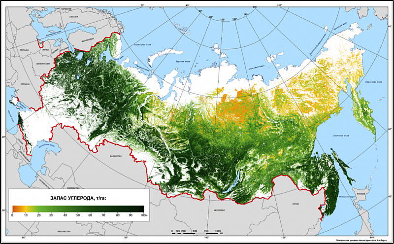 КНО: Запасы углерода в фитомассе лесов России на 2019 г. 