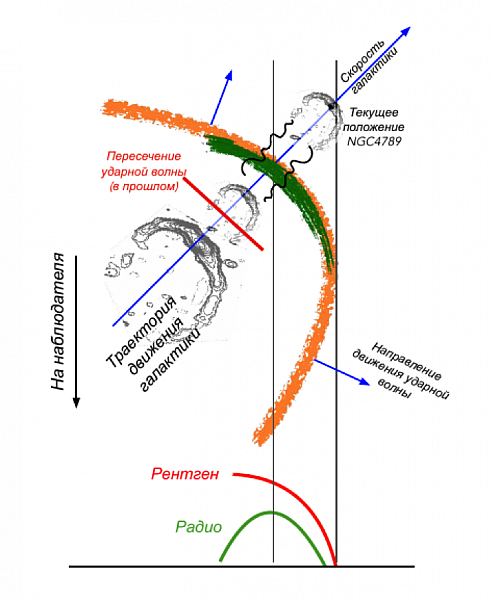 Иллюстрация того, как радиогалактика NGC 4789, ускоренная в процессе слияния скоплений до больших скоростей, может обогнать ударную волну, обогатить газ перед фронтом ударной волны релятивистскими частицами и обеспечить возможность быстрого распространения ускоренных частиц вдоль филаментов с сильным магнитным полем. Рисунок из статьи Churazov, E., Khabibullin, I., Bykov, A.M., Lyskova, N., Sunyaev, R. 2022