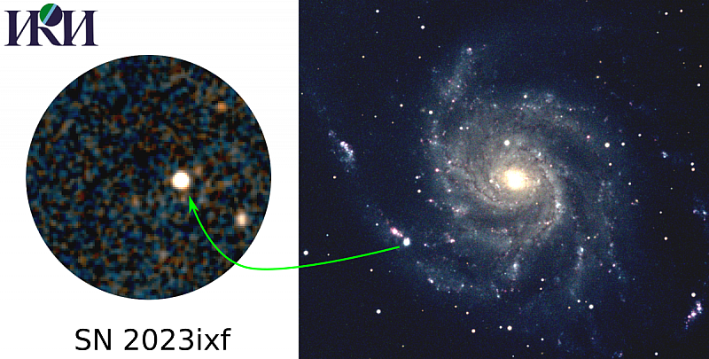 Изображение поля сверхновой SN 2023ixf в галактике М101, полученное телескопом ART-XC Им. М. Н. Павлинского (слева), диаметр поля — около тридцати минут дуги. Другие видимые в поле источники — ультраяркие рентгеновские двойные в М101 и активные галактики поля. Справа — оптическое изображение, полученное сотрудником ИКИ РАН А.Л. Ясковичем в любительский телескоп. Изображение: ИКИ РАН