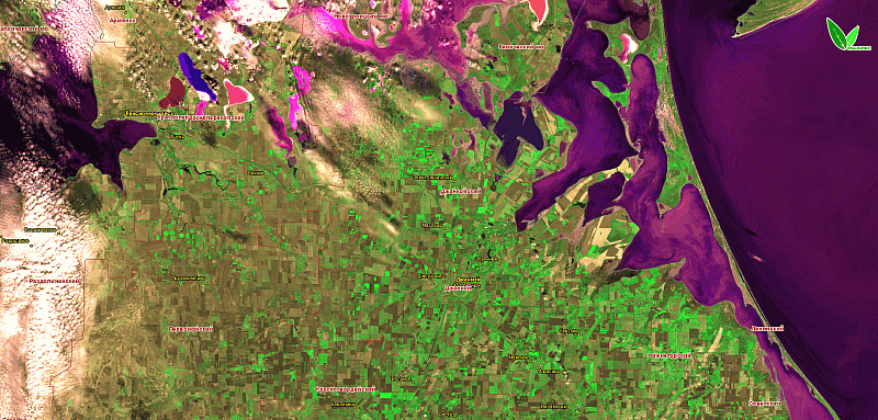 Динамика вегетации озимых культур под урожай 2026 года в Республике Крым на серии снимков со спутников Sentinel-2 (прибор MSI) и Landsat-8 (OLI). Изображения получены с помощью информационной системы «ВЕГА-Science» (ИКИ РАН)