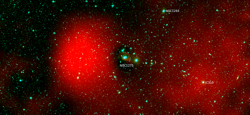 Цепочка галактик от NGC 1275 до галактики IC 310 (голубой цвет — данные обзора DSS2) в оптическом диапазоне на фоне отклонений рентгеновского излучения горячего газа от сферически симметричной модели (красный цвет). Такая картина ожидается после слияния двух скоплений. Галактика  IC310 — это, вероятно, центральная галактик второго скопления. Рисунок из статьи Churazov E. et al, 2026