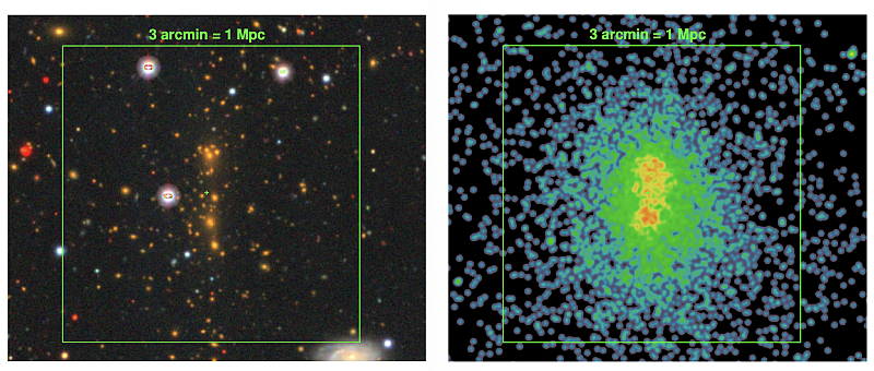 Изображения скопления CL0238.3+2005 («Арахис»), в оптическом (обзора DESI Legacy Imaging Surveys) и рентгеновском диапазонах (Chandra, NASA). Источник: Лыскова Н. и соавт. Merger of massive galaxy cluster CL0238.3+2005 at z≃0.4: just after pericenter passage?, Astronomy & Astrophysics (2025)