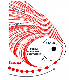 Схема разрушения звезды под действием приливных сил вблизи сверхмассивной черной дыры. Изображение (с) И.Хабибуллин, ИКИ РАН, 2020