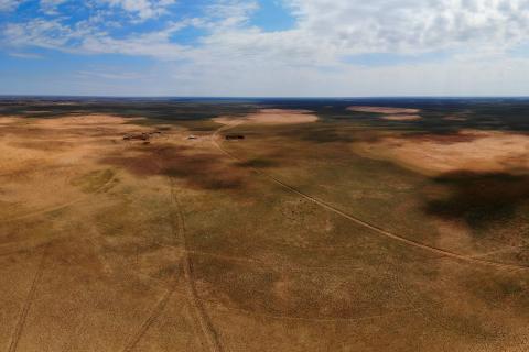 Прикаспийская низменность. Астраханская область, Харабалинский район. Фото С.С. Шинкаренко